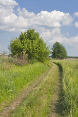 Fototapeta na wymiar Rural landscape with country road