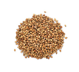 Coriander seeds isolated on white background