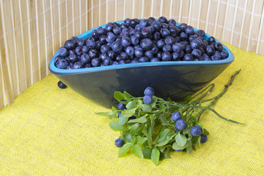 Blueberries in bowl
