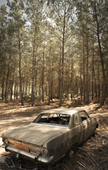 Obraz na płótnie Canvas Abandoned Car