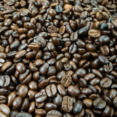 Coffee beans background