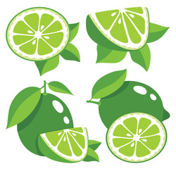 Limes vector illustration
