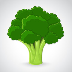 Artistic vector broccoli - 87284434