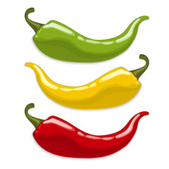 Chili peppers. Isolated vector - obrazy, fototapety, plakaty