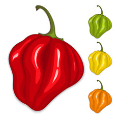 Chili habanero peppers. Isolated vector - obrazy, fototapety, plakaty