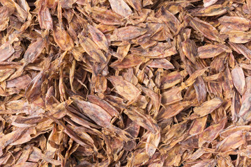 Dry squid is food which can storage very long time without any s