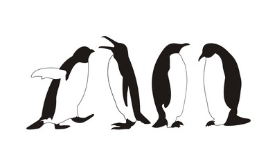 Penguins Silhouette