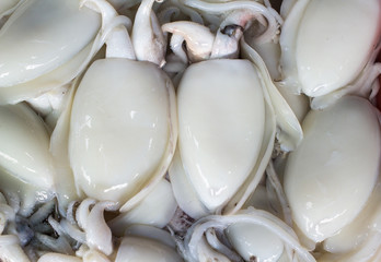Squid is Protien source which you can find in the sea.
