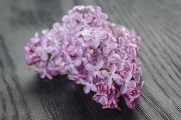 purple lilac flowers on old oak table