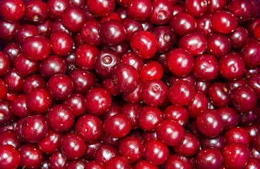 Cherry