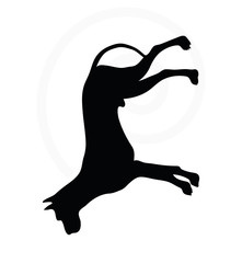 dog silhouette in asleep