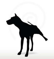 Naklejka premium dog silhouette in leg raised pose