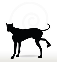 dog silhouette in leg raised pose