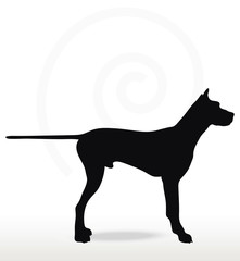 dog silhouette in still pose