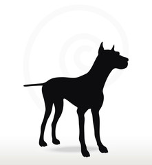 dog silhouette in still pose