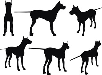 dog silhouette in still pose