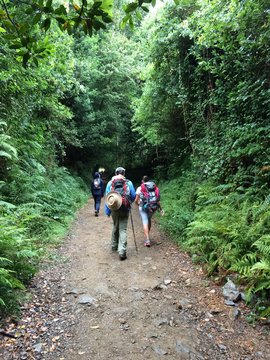 peregrinos en uno de los tramos del camino frances a santiago de compostela