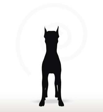 dog silhouette in still pose