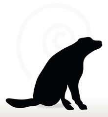 dog silhouette
