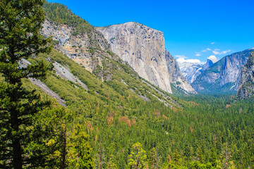 El Capitan, Yosemite National Park