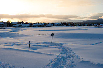 the snow land