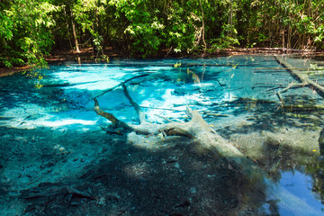 Blue pool in the forest