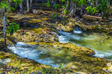 waterfall mangrove forest at Krabi in Thailand
