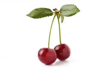 a pair of cherries with a leaf isolated
