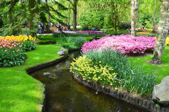 Colorful flowers and blossom in dutch spring garden Keukenhof which is the world's largest flower garden. 