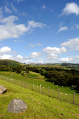 Bala Countryside.