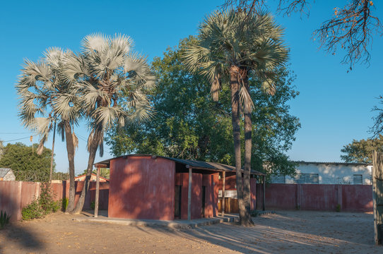 Campsite at the Ombulantu Baobab Tree