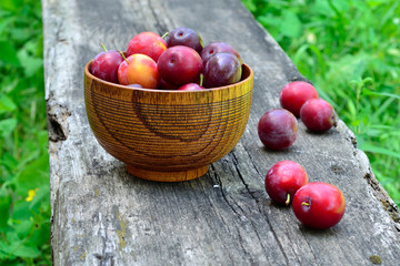 Bowl with plum