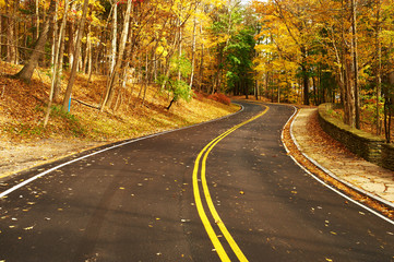 Fototapeta premium Autumn scene with road in forest