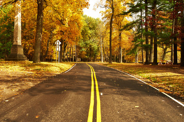 Obraz premium Autumn scene with road in forest