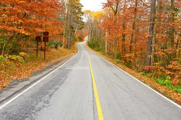 Naklejka premium Autumn scene with road