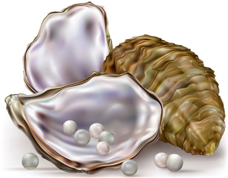 Oyster shell pearls