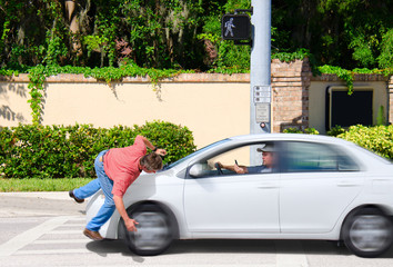 A man that is texting while driving runs over a pedestrian while the Cross Now sign is clearly visible showing that the pedestrian had the right of way. - obrazy, fototapety, plakaty