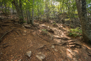 Ice cream cone with two scoops 