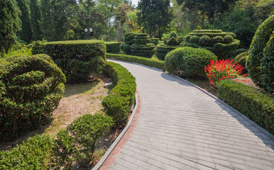 Beautiful garden with hedges