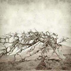 textured old paper background