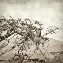 textured old paper background