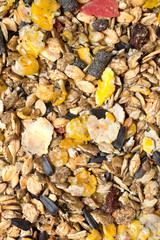  natural  muesli  background with fruites. for horse.
