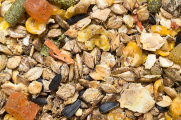  natural  muesli  background with fruites. for horse.