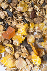  natural  muesli  background with fruites. for horse.