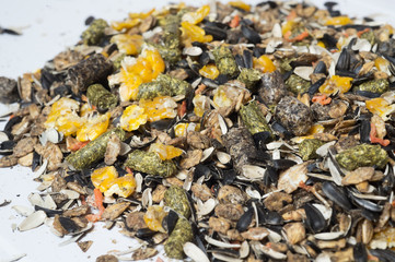  natural  muesli  background . for horse.