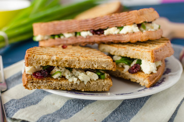 Sandwich with blue cheese and cranberries