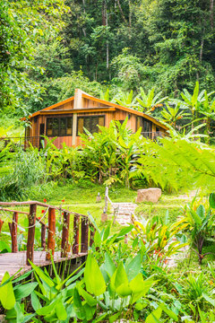 Forest and holiday homes in country