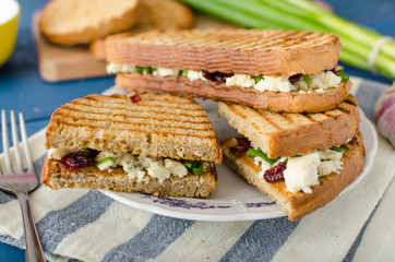 Sandwich with blue cheese and cranberries