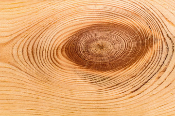 Fototapeta na wymiar Wood texture with natural pattern