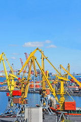 Port cargo crane and container over blue sky background